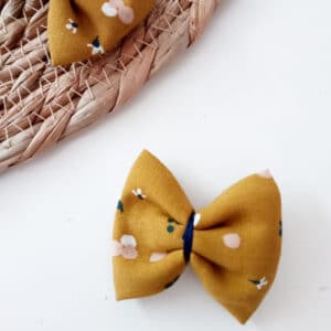 barrettes jesen