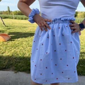 jupette, rayé bleu et petites fraises